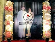 s-islandflowers-04.jpg