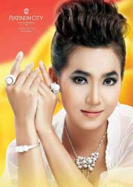 s-platinumcity-02.jpg