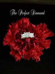 s-theperfectdiamond-02.jpg