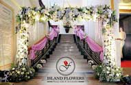 sislandflowers-03.jpg