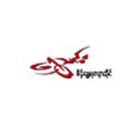 Shwe Thin Gold Shops/Goldsmiths